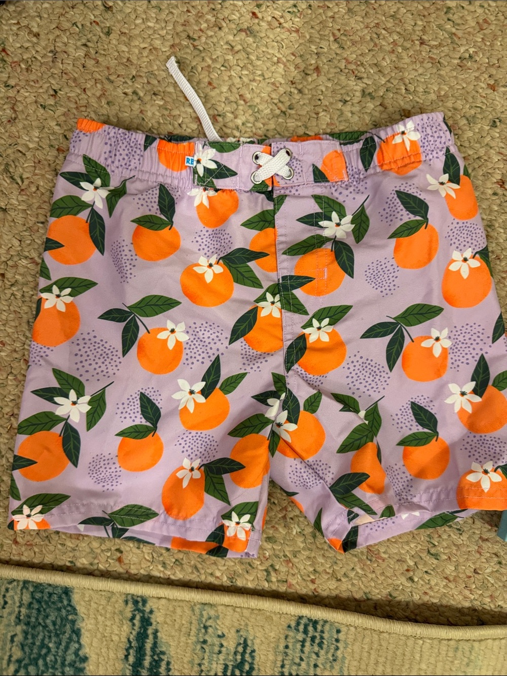 Ruffle Butts Purple Swim Trunks with Orange Citrus Print